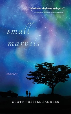 Book cover for Small Marvels