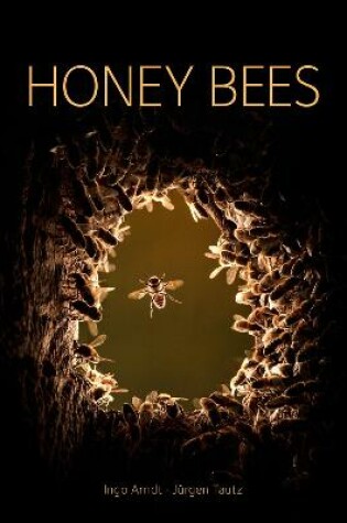 Cover of Honey Bees