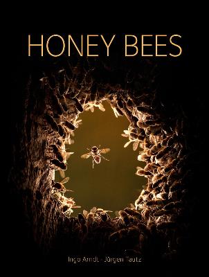 Book cover for Honey Bees