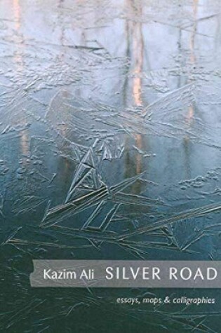 Cover of Silver Road