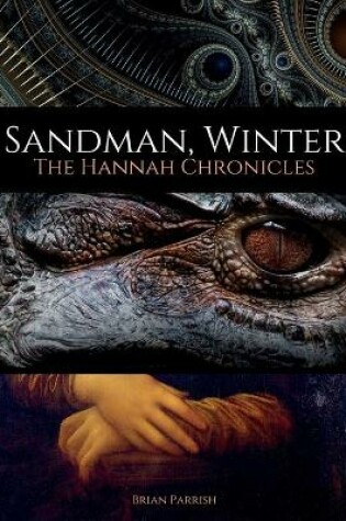 Cover of Sandman, Winter
