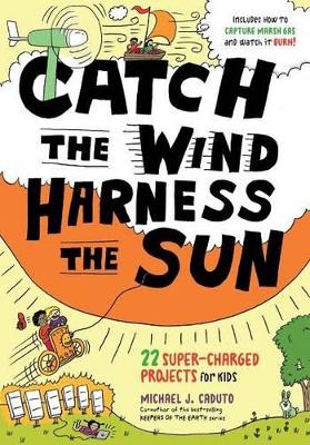 Book cover for Catch the Wind, Harness the Sun