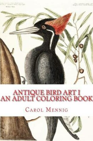 Cover of Antique Bird Art I: An Adult Coloring Book