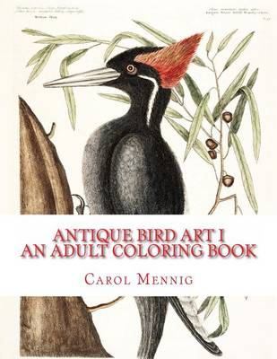 Book cover for Antique Bird Art I: An Adult Coloring Book