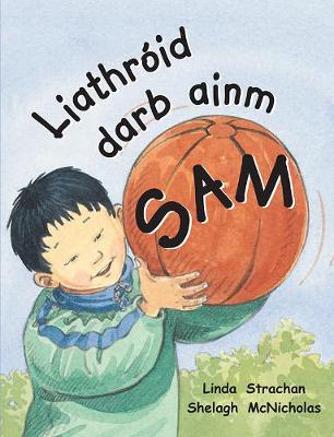 Cover of Leimis le Cheile - Liathroid darb ainm Sam