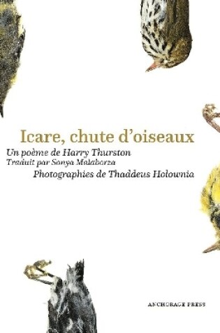 Cover of Icare, chute doiseaux
