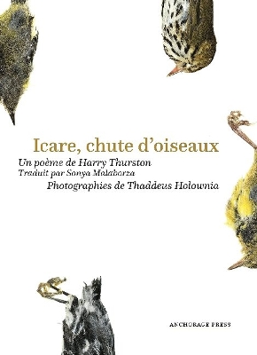 Book cover for Icare, chute doiseaux