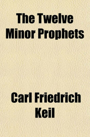 Cover of The Twelve Minor Prophets