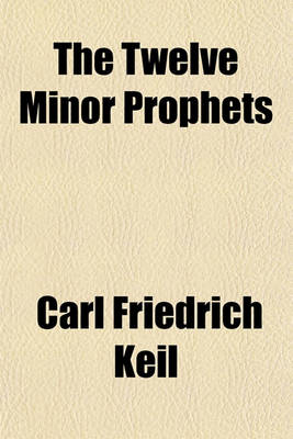 Book cover for The Twelve Minor Prophets