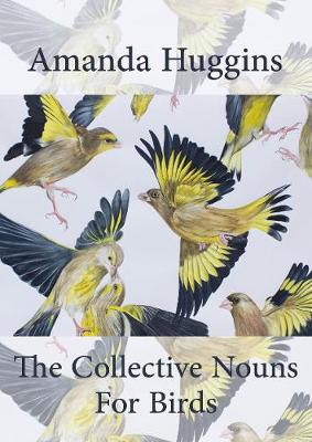 Book cover for The Collective Nouns for Birds