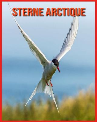 Book cover for Sterne Arctique