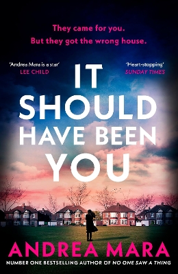 Book cover for It Should Have Been You