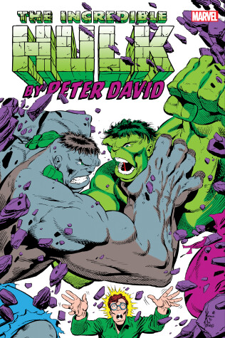 Book cover for Incredible Hulk By Peter David Omnibus Vol. 2