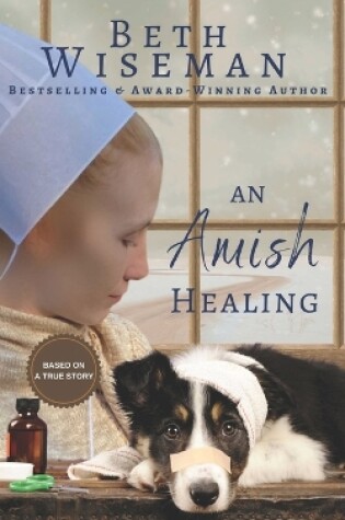 Cover of An Amish Healing (A Romance)