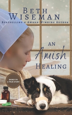 Book cover for An Amish Healing (A Romance)