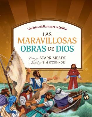 Book cover for Las maravillosas obras de Dios