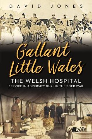 Cover of Gallant Little Wales