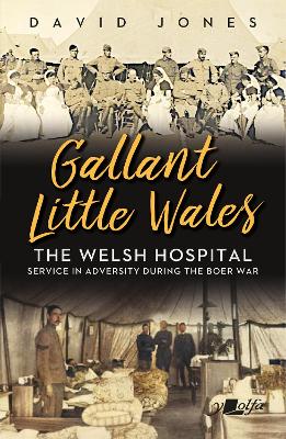 Book cover for Gallant Little Wales