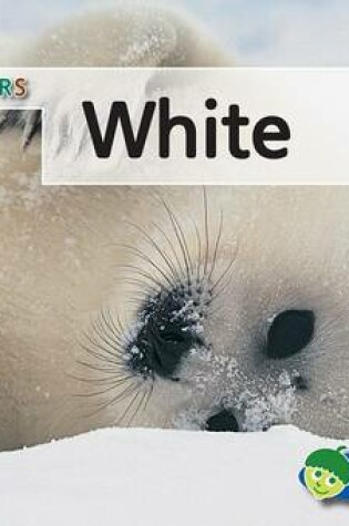 Cover of White