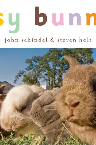 Cover of Busy Bunnies