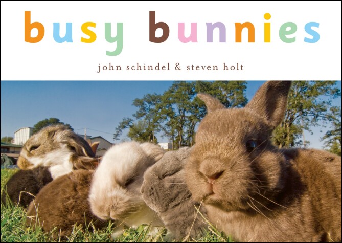 Book cover for Busy Bunnies