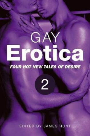 Cover of Gay Erotica, Volume 2