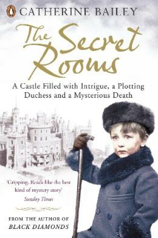 Cover of The Secret Rooms