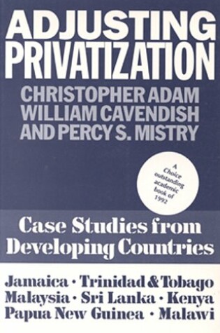 Cover of Adjusting Privitization