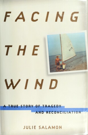 Book cover for Facing the Wind