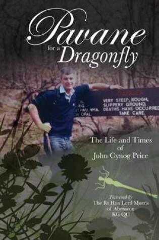Cover of Pavane for a Dragonfly