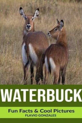 Cover of Waterbuck