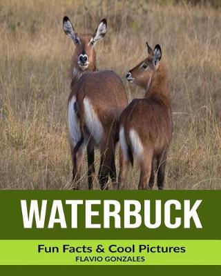 Book cover for Waterbuck