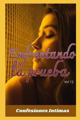 Book cover for Enfrentando la prueba (vol 12)