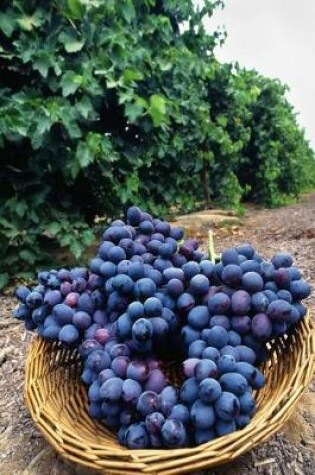 Cover of Food Journal Fresh Juicy Purple Grapes Vineyard Weight Loss Diet Blank Recipe Book