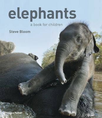 Book cover for Elephants