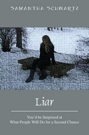 Cover of Liar