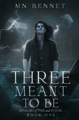 Cover of Three Meant To Be