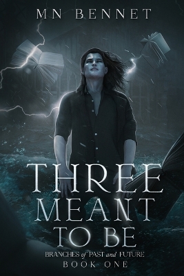 Book cover for Three Meant To Be