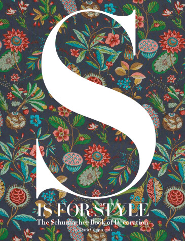 Book cover for S Is for Style
