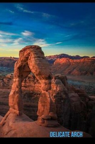 Cover of Delicate Arch