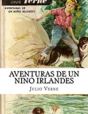 Book cover for Aventuras de un nino irlandes