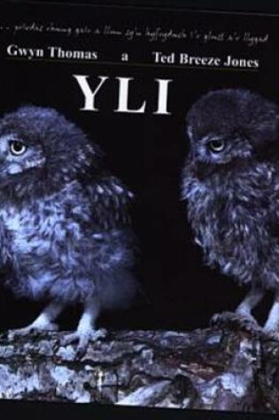 Cover of YLI