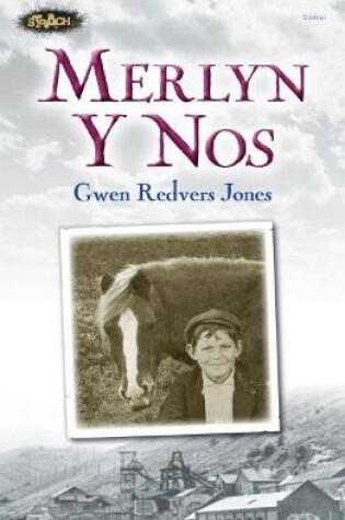 Cover of Cyfres Strach: Merlyn y Nos