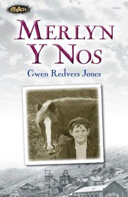 Book cover for Cyfres Strach: Merlyn y Nos