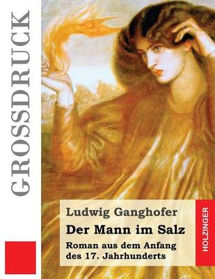 Book cover for Der Mann im Salz (Großdruck)