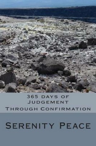 Cover of 365 days of Judgement