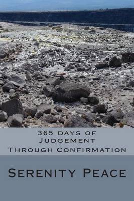 Cover of 365 days of Judgement