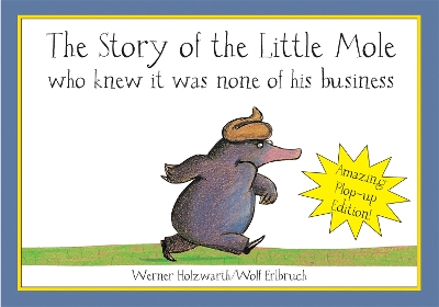 Book cover for The Story of the Little MoleNew Edition