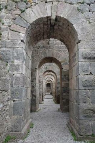 Cover of Ancient Greek Ruins Pergamon Acropolis