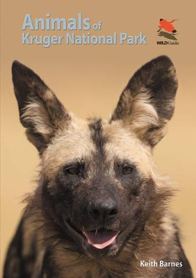 Cover of Animals of Kruger National Park